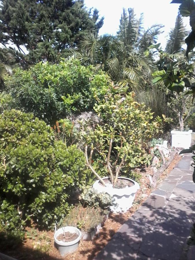 Self Catering Unit 7, Sandbaai ヘルマナス エクステリア 写真