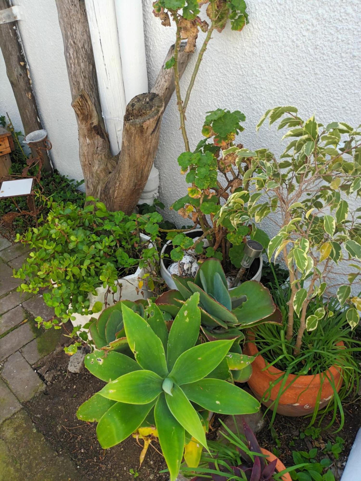 Self Catering Unit 7, Sandbaai ヘルマナス 部屋 写真